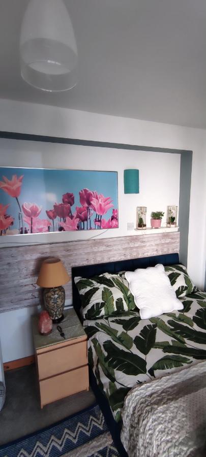 Joanna'S Studio , Key Locker By Whatsapp Own Entrance, Own Bathroom Youghal Exterior foto
